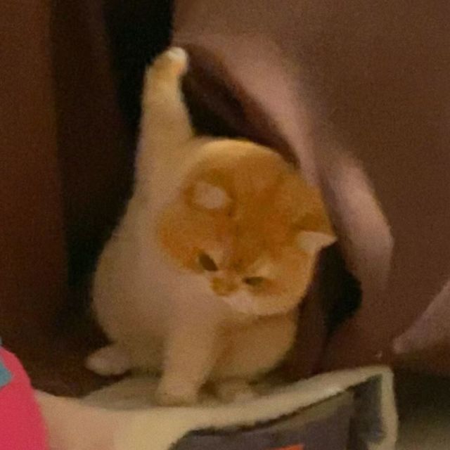 1076155 @