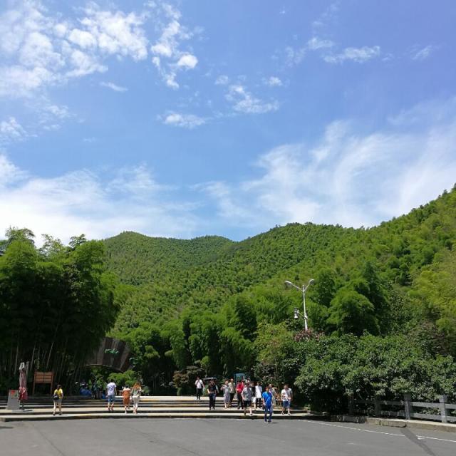 1076260 汤毅