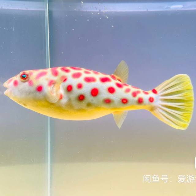 1076951 一路有你