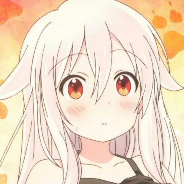 1077524 雅