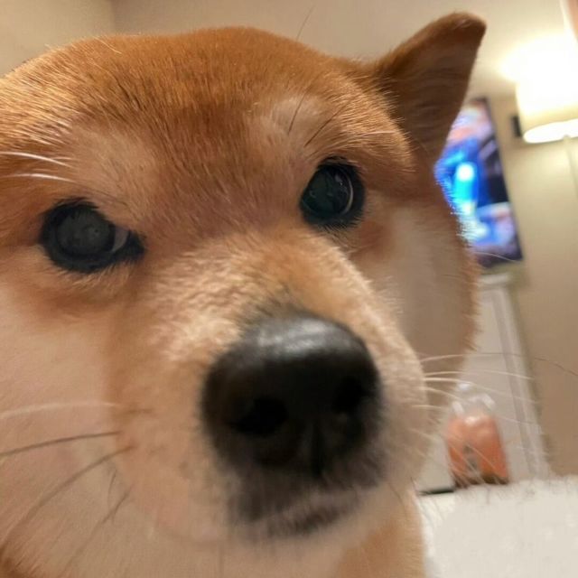 107758 唐宋