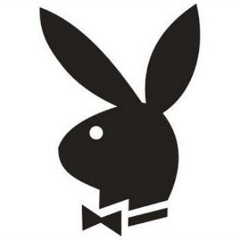 1078465 Cube Rabbit