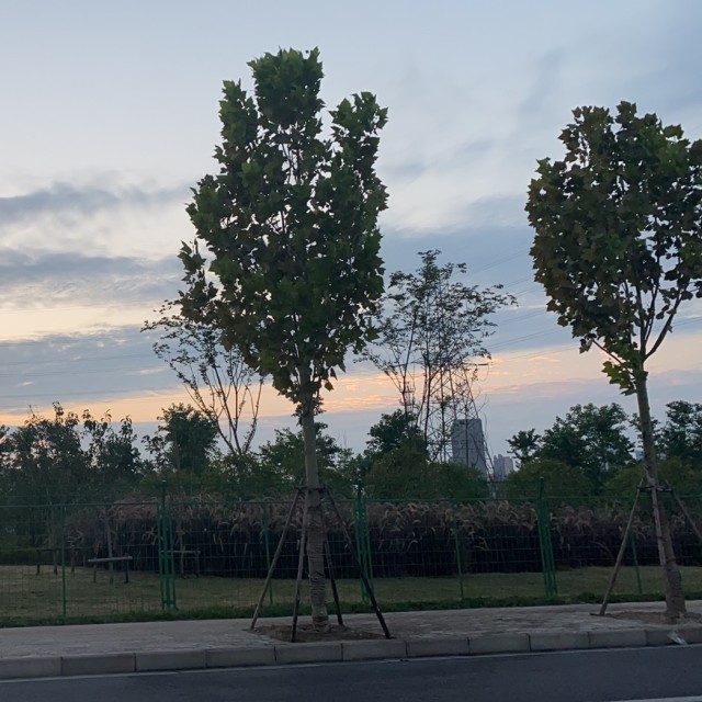 1078726 心有你