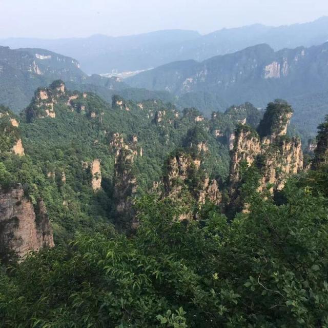 1080014 鹰击长空