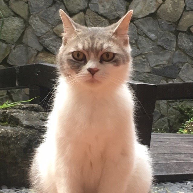1080337 妞妞
