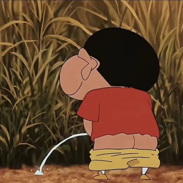 1080855 .