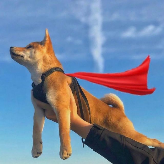 1081138 