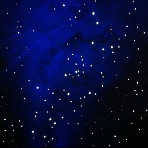 1081236 PRong