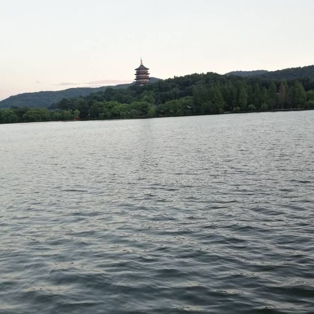 1081614 蚊子
