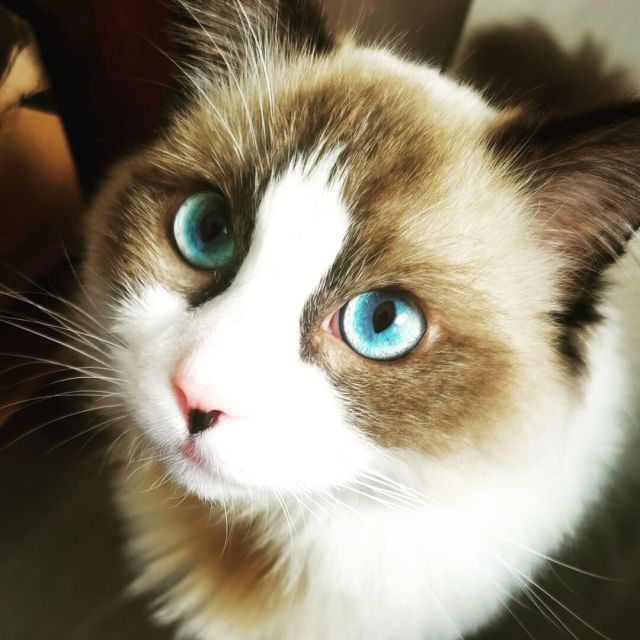 108162 近℡