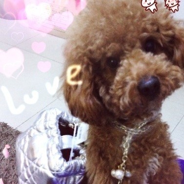 1081671 MISS。