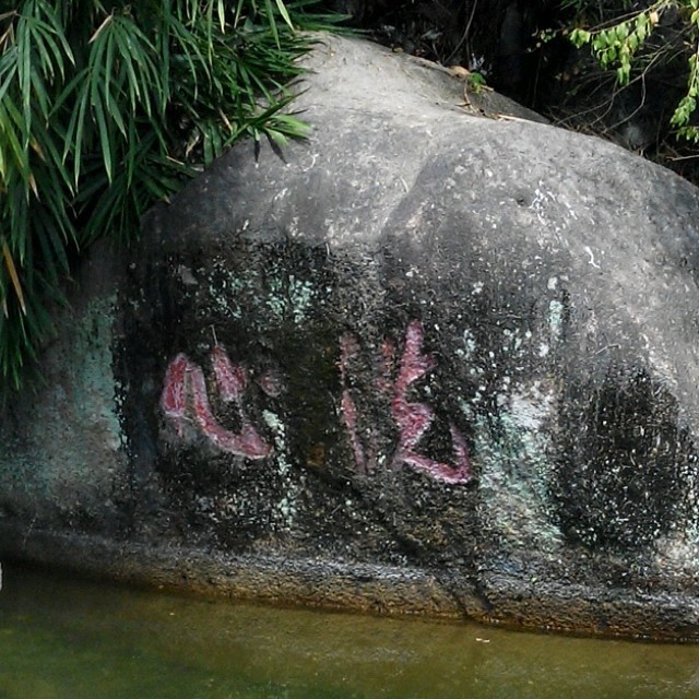 108186 抓住彩虹