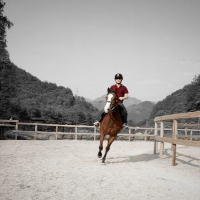 1081980 往事随风