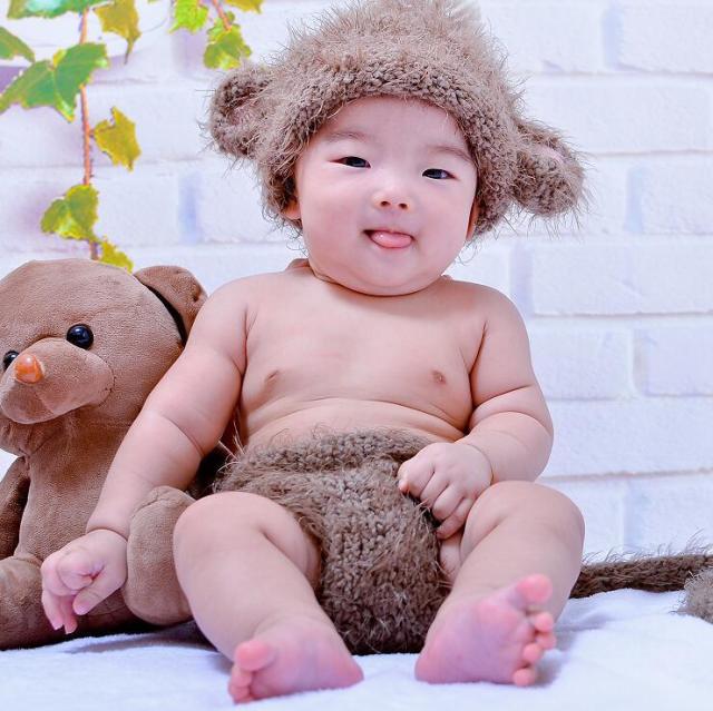 1082532  愚人教皇