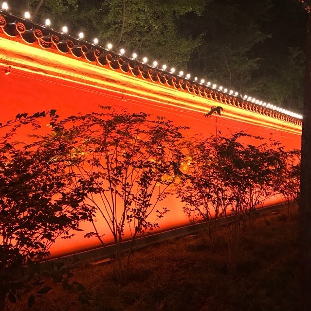 108283 德瑞克特
