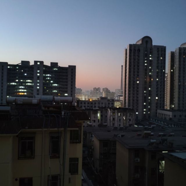 1083228 鸿鹄落羽