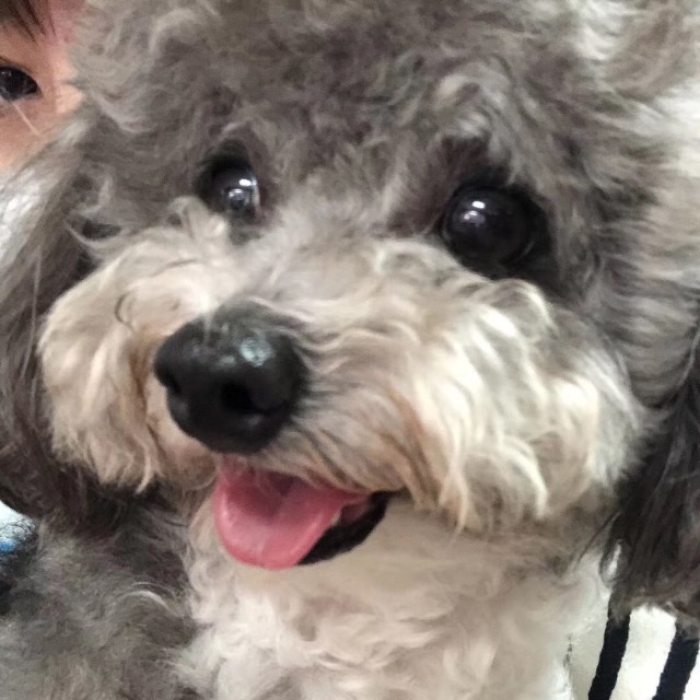 108386 树