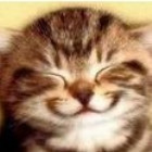 1084044 薛定谔的小猫