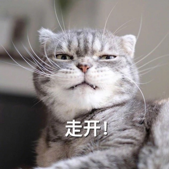 1084948 詐屍