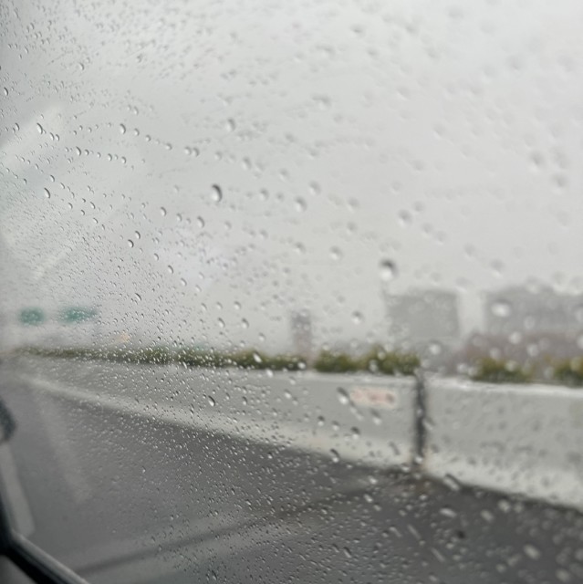 1085282  逸凡
