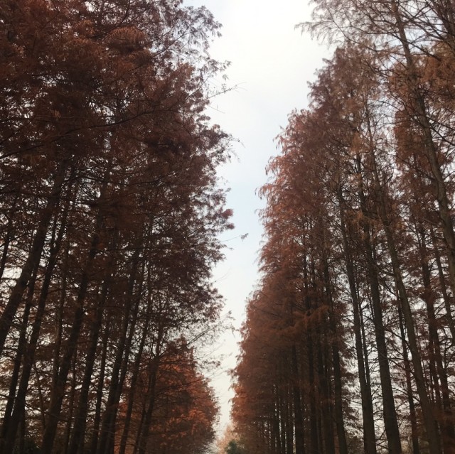 1085360 静