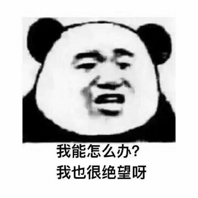 1085400 壹喵壹菩提