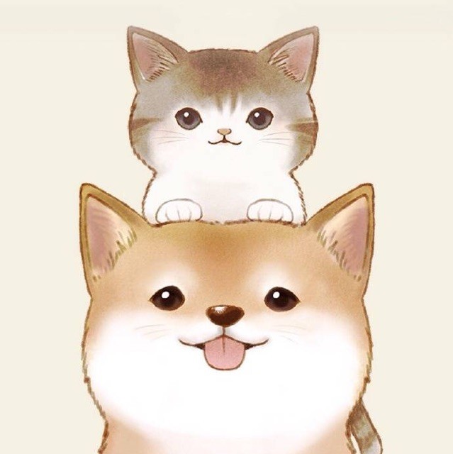 1085632 双喜