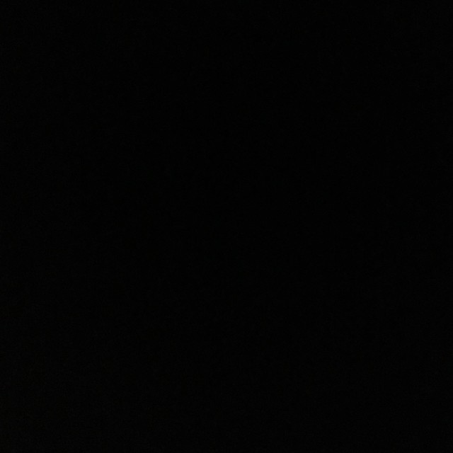 1086412 游者老鼠