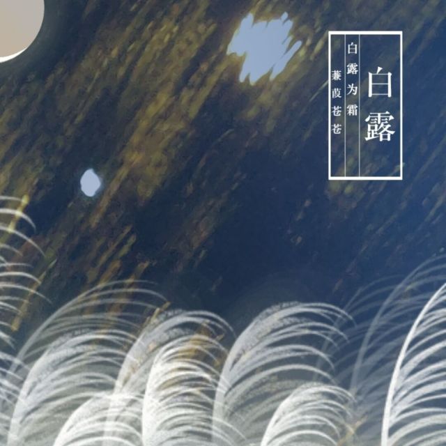 1086514 我是邹