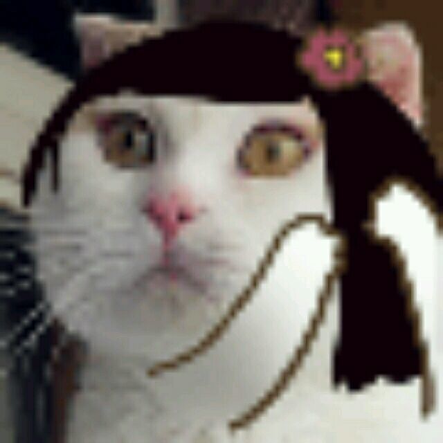 1086854 谢君