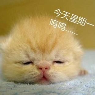 1086965 寒枫飘血