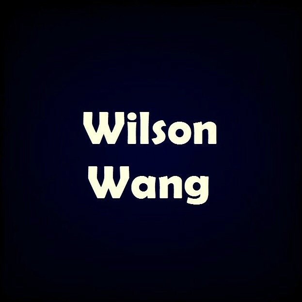 108713 、Wilson