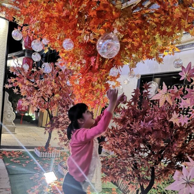 1087684 紫一