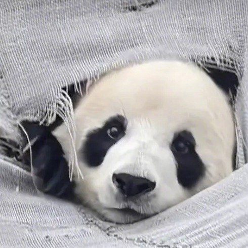 1087811 静。