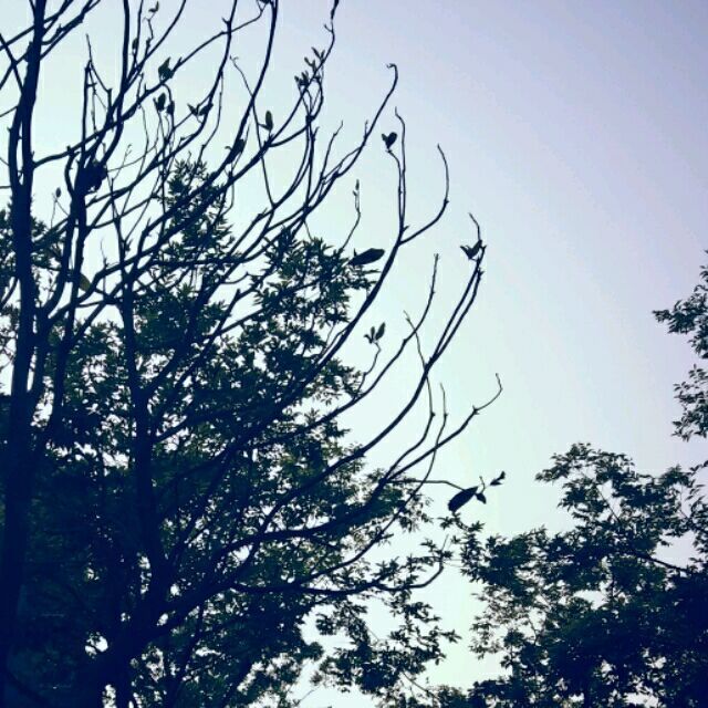 1087842 且听风吟