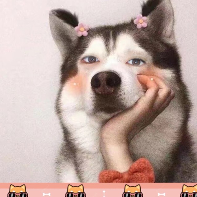 1088166  孙太阳 