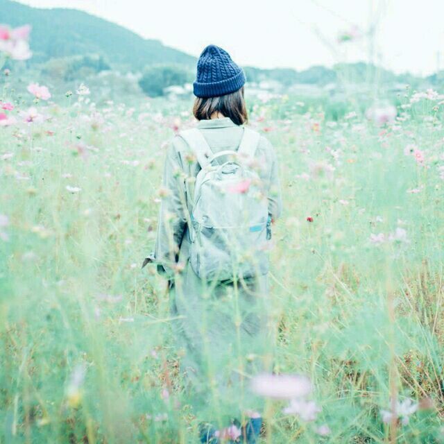 1088318 鸢尾花洛