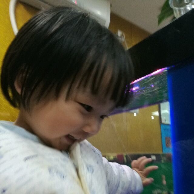 1088561 逍遥生活