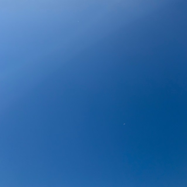 108901 忘断红尘
