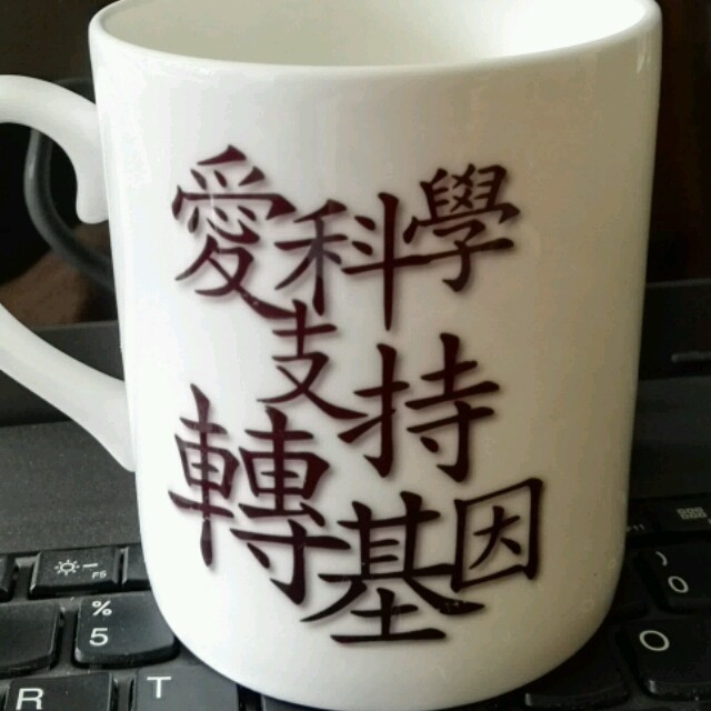 1089422 木头工仔