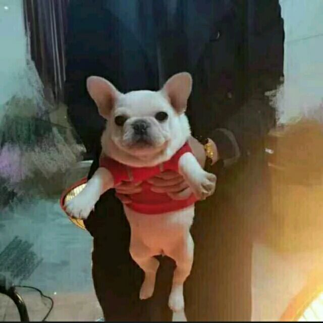 1089924 孤独