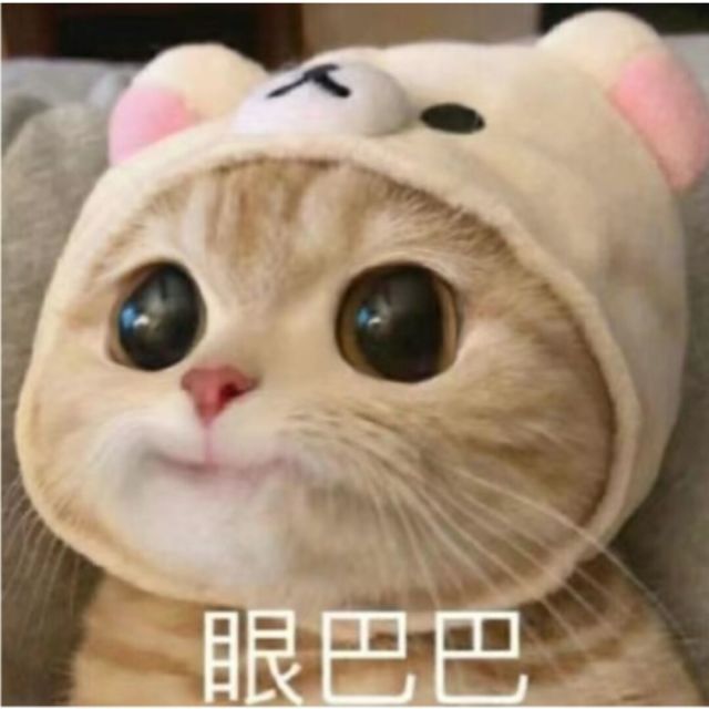 1090209 宝宝