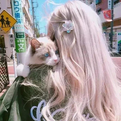 1090745  Ｙ． ✿ 