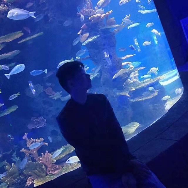 1090797 怪我过分着迷 بسيط♥
