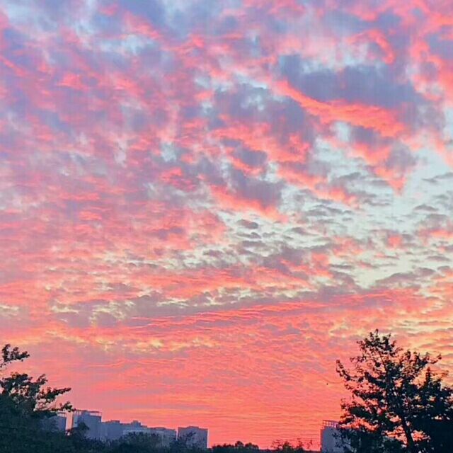 1091285 唐志强专属粉丝