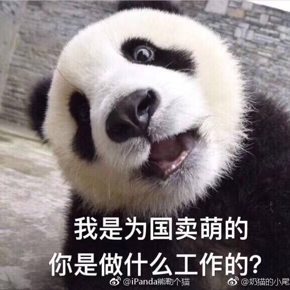 1091313 。