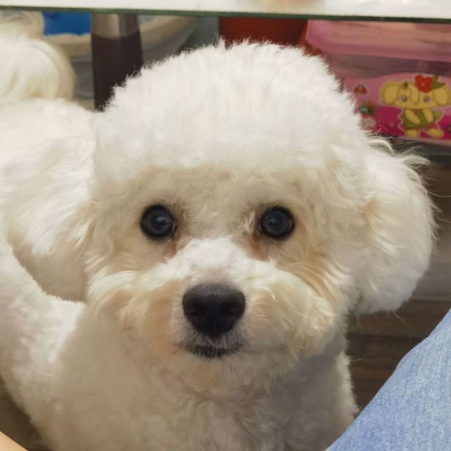 1091448 梦芝小妮