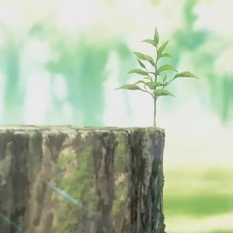 1091522 ﹎蒂拉米斯.o