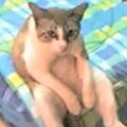 1091656 龙喜