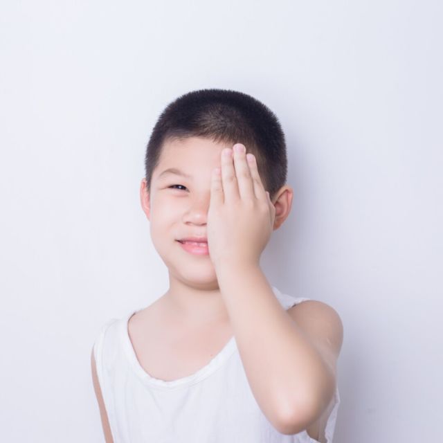 1091664 毛毛虫